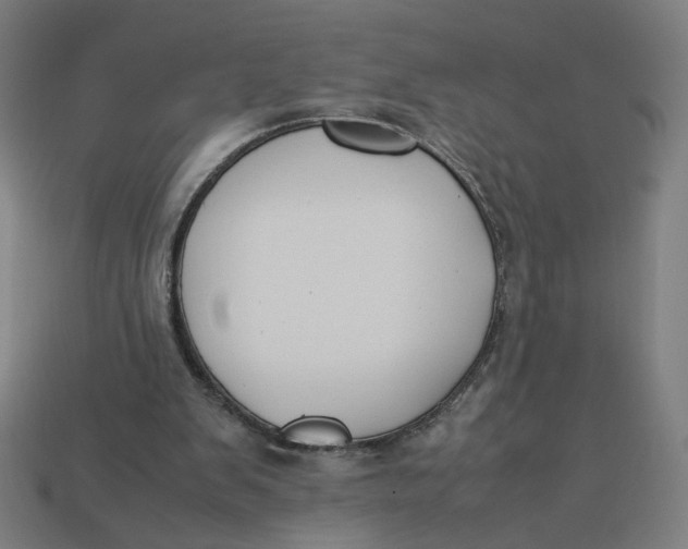 X0000113350103200910061027