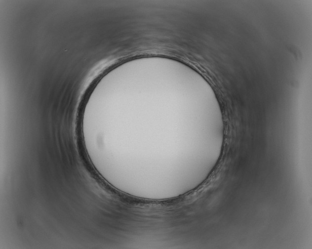 X0000113350104200910061027