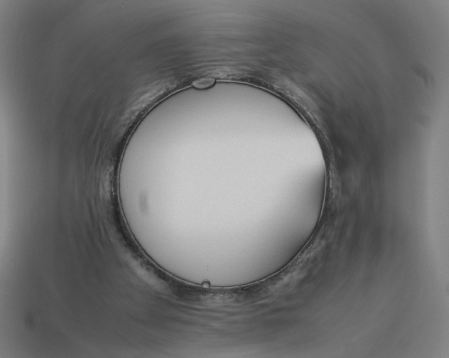 X0000113350105200910061027