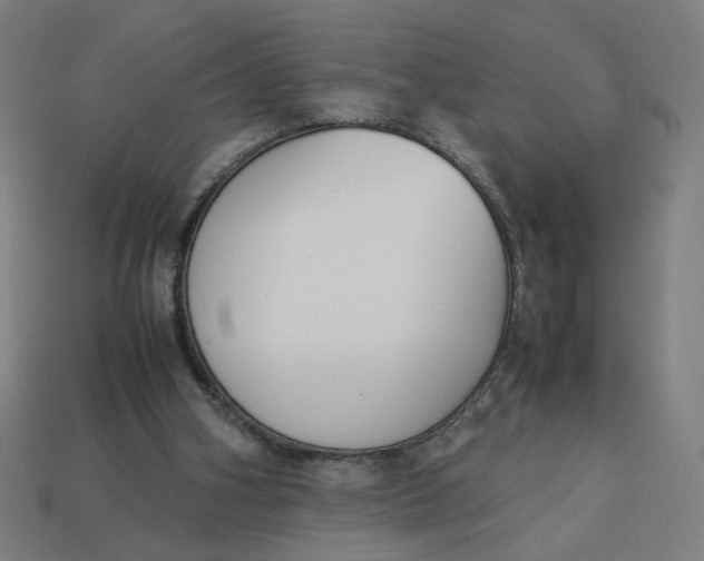 X0000113350106200910061027