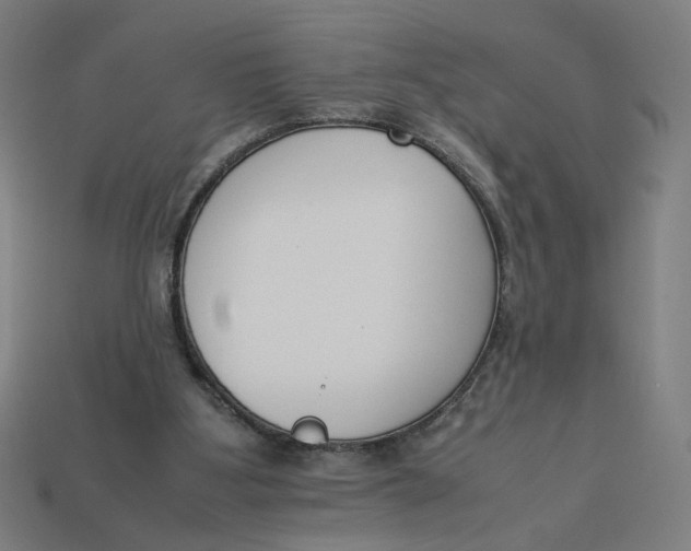 X0000113350107200910061027