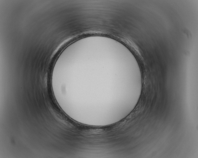 X0000113350108200910061027