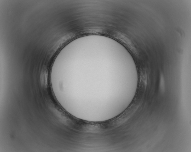 X0000113350110200910061027