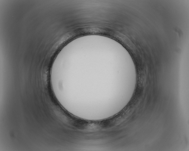 X0000113350111200910061027