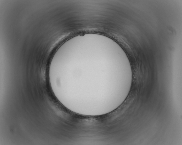 X0000113350112200910061027