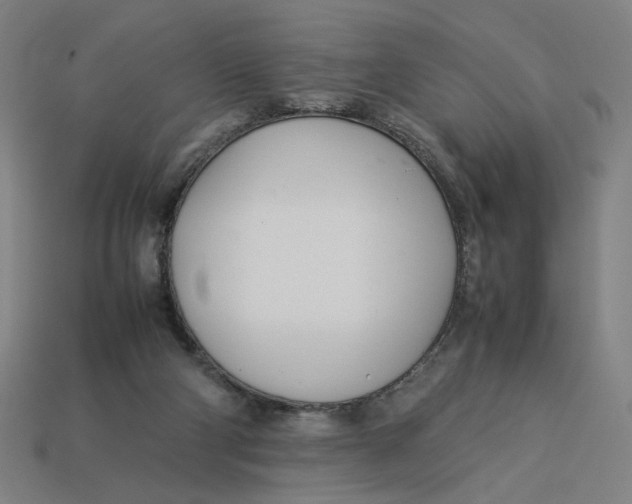 X0000113350114200910061027