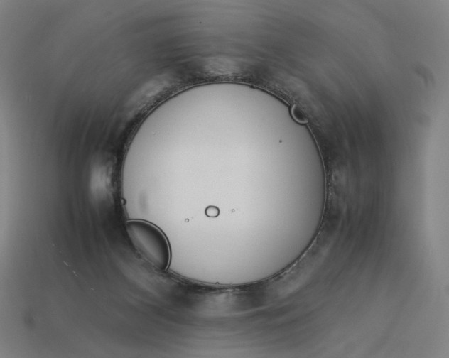 X0000113350116200910061027