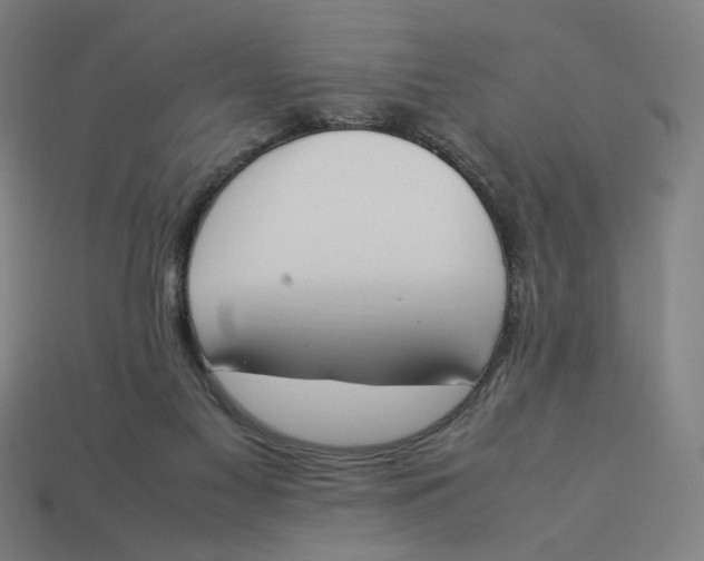 X0000113350117200910061027