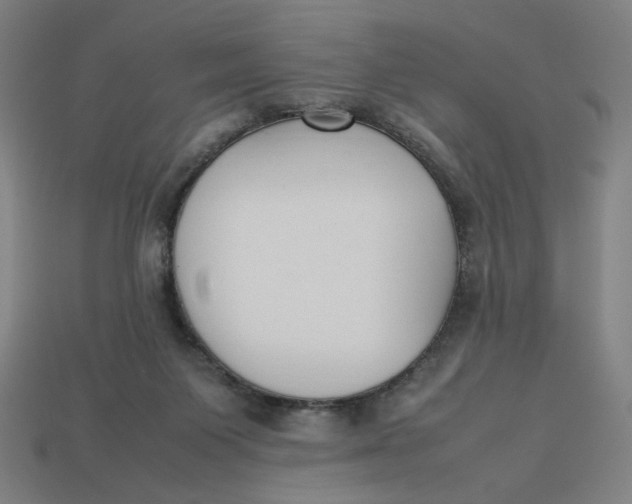 X0000113350119200910061027