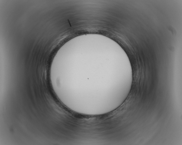 X0000113350120200910061027