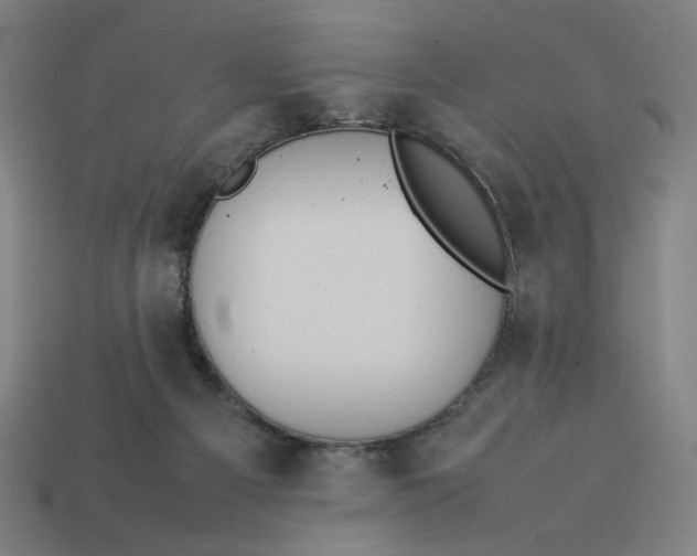 X0000113350121200910061027