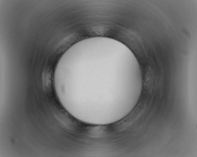 X0000113350122200910061027