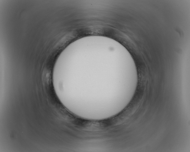 X0000113350123200910061027