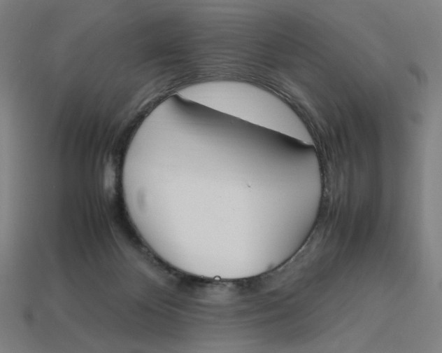 X0000113350124200910061027