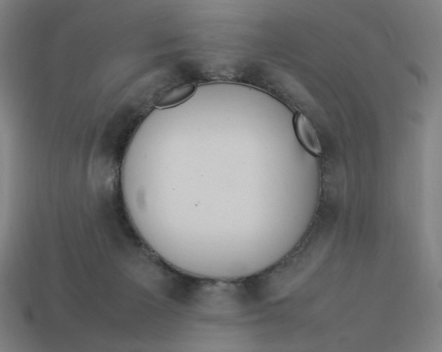 X0000113350125200910061027