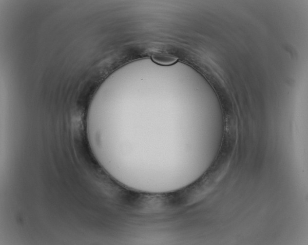 X0000113350127200910061027