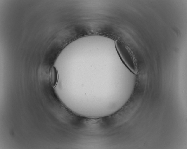 X0000113350129200910061027