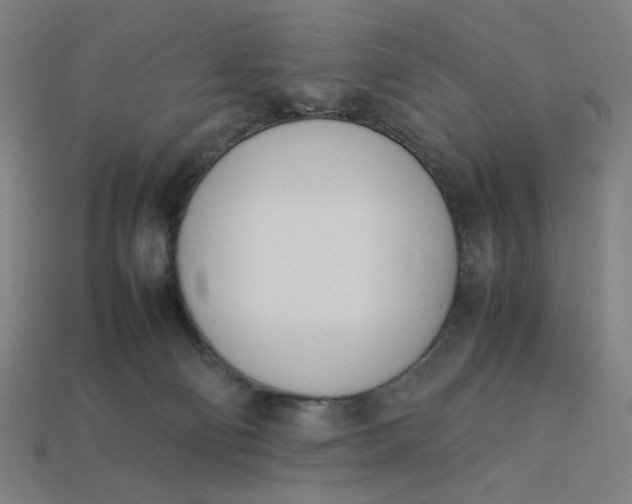 X0000113350130200910061027