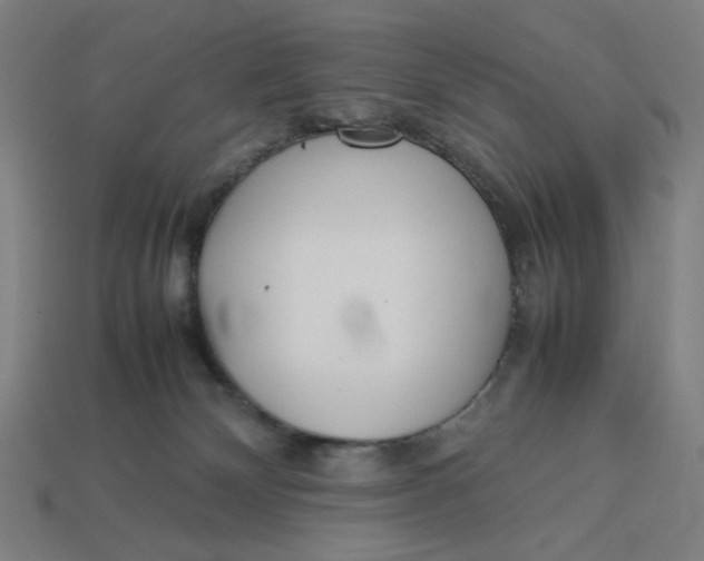 X0000113350132200910061027