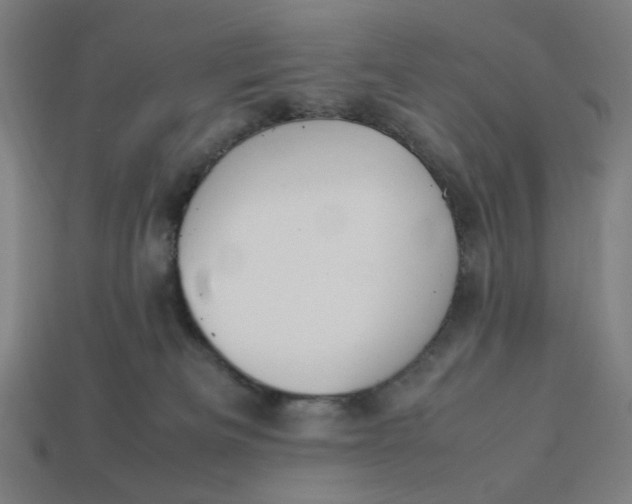 X0000113350133200910061027