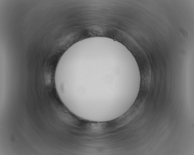 X0000113350134200910061027