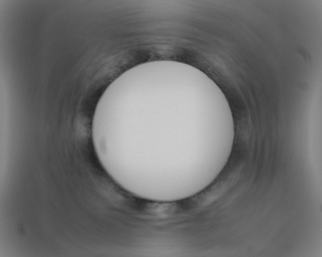 X0000113350135200910061027