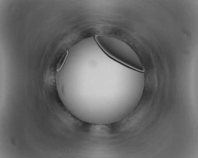 X0000113350137200910061027