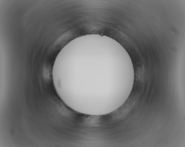 X0000113350138200910061027