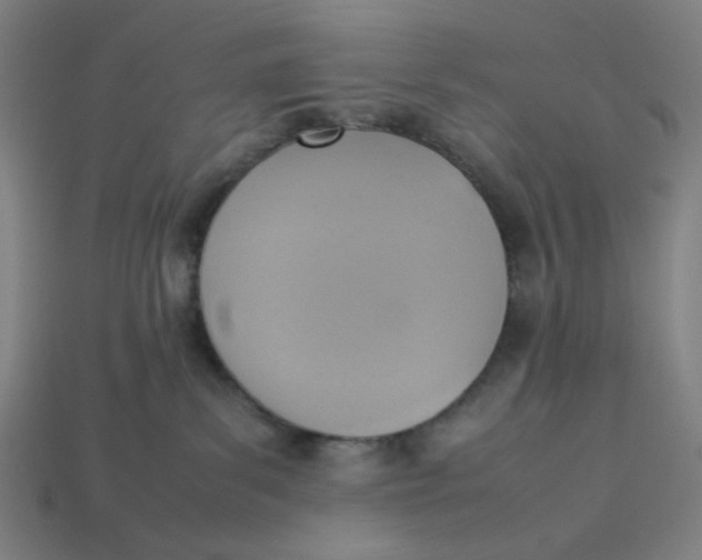 X0000113350139200910061027