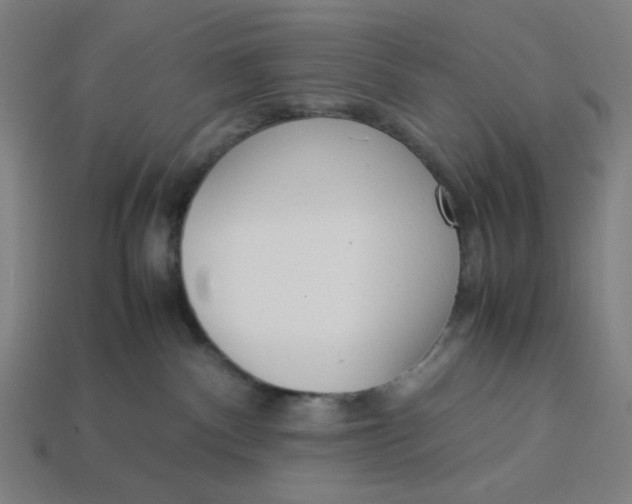 X0000113350140200910061027