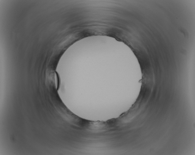 X0000113350141200910061027