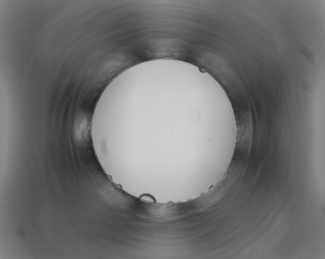 X0000113350142200910061027