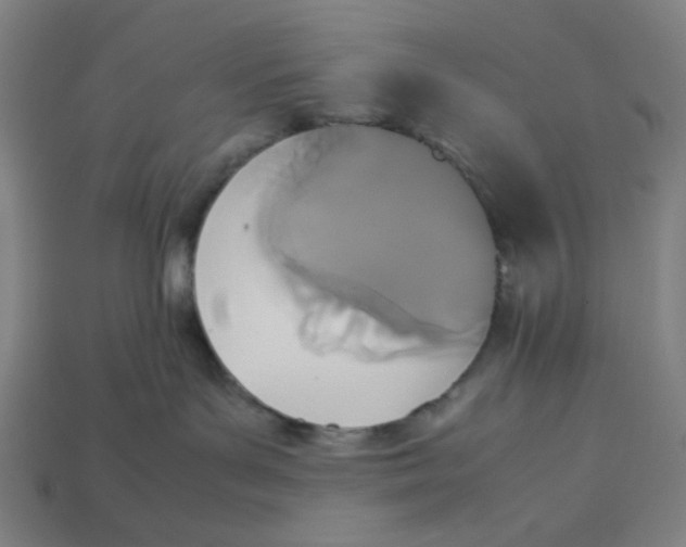 X0000113350143200910061027