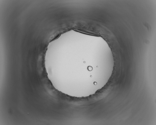 X0000113350144200910061027