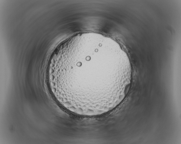 X0000113350145200910061026