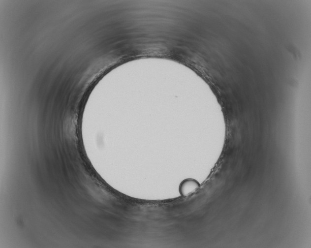 X0000113350146200910061026