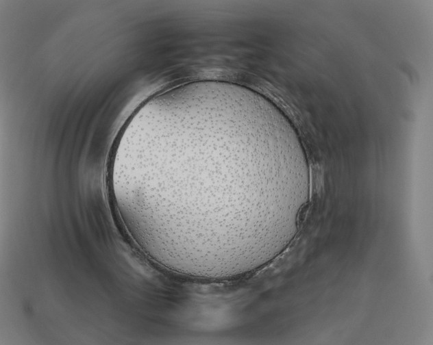 X0000113350147200910061026