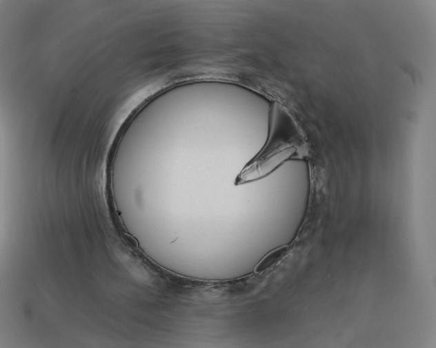 X0000113350148200910061026