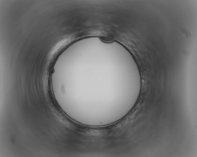 X0000113350149200910061026