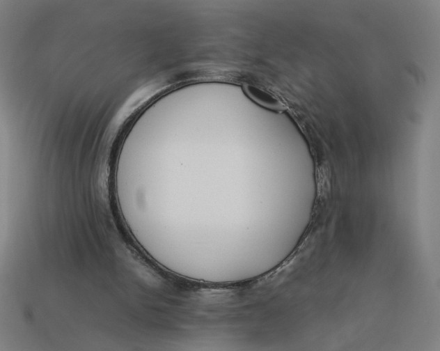 X0000113350150200910061026