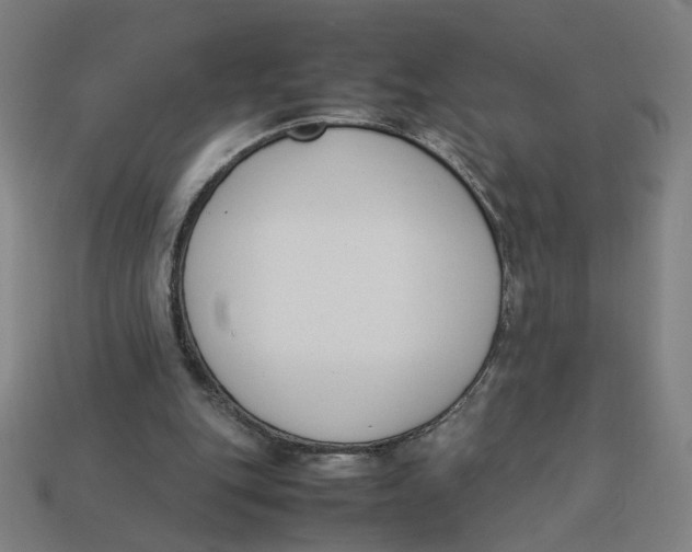 X0000113350151200910061026