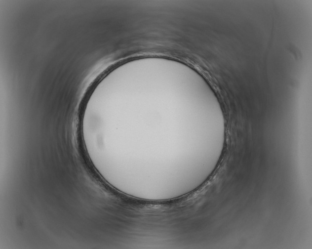 X0000113350152200910061026