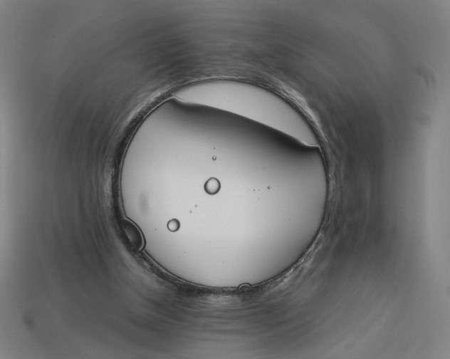 X0000113350154200910061026