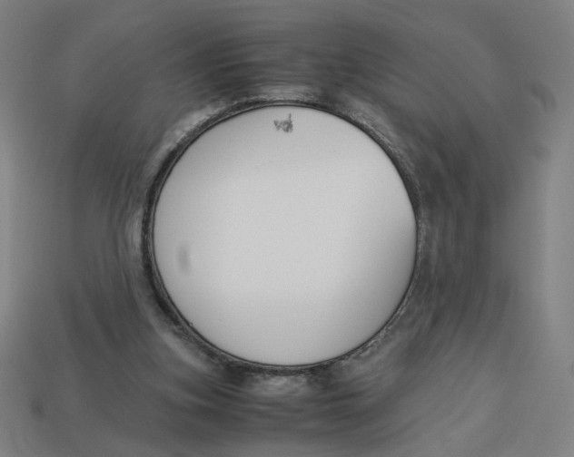 X0000113350155200910061026