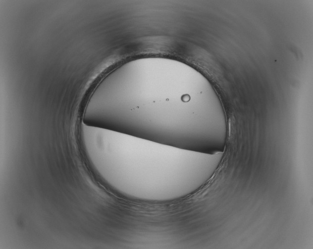 X0000113350156200910061026