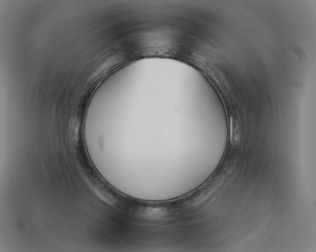 X0000113350157200910061026