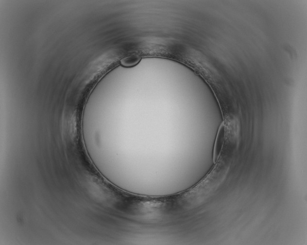 X0000113350158200910061026