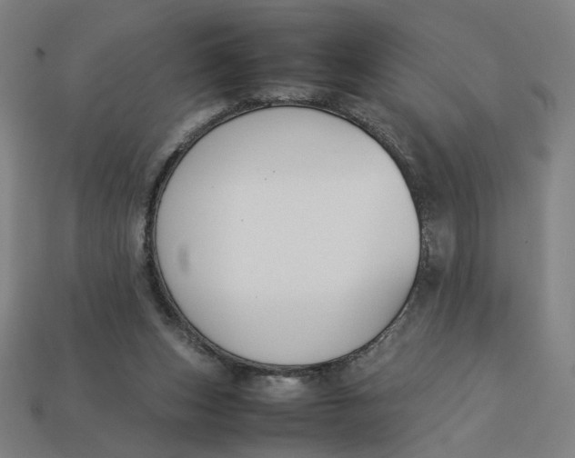 X0000113350159200910061026