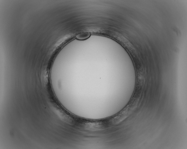 X0000113350160200910061026