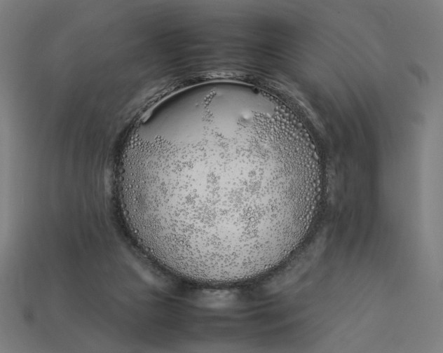 X0000113350161200910061026